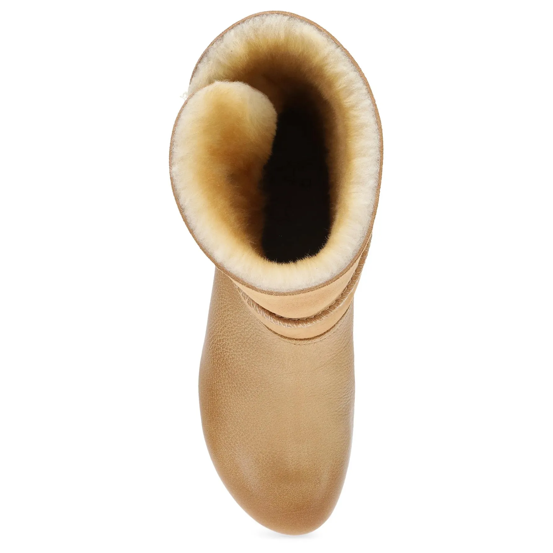 Dansko Lillith>Women Heels|Boots & Booties
